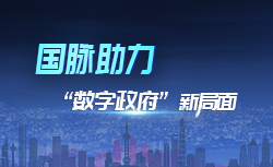 专题 | 国脉助力“数字政府”新局面